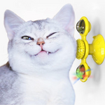 Cats Whirling LED Balls